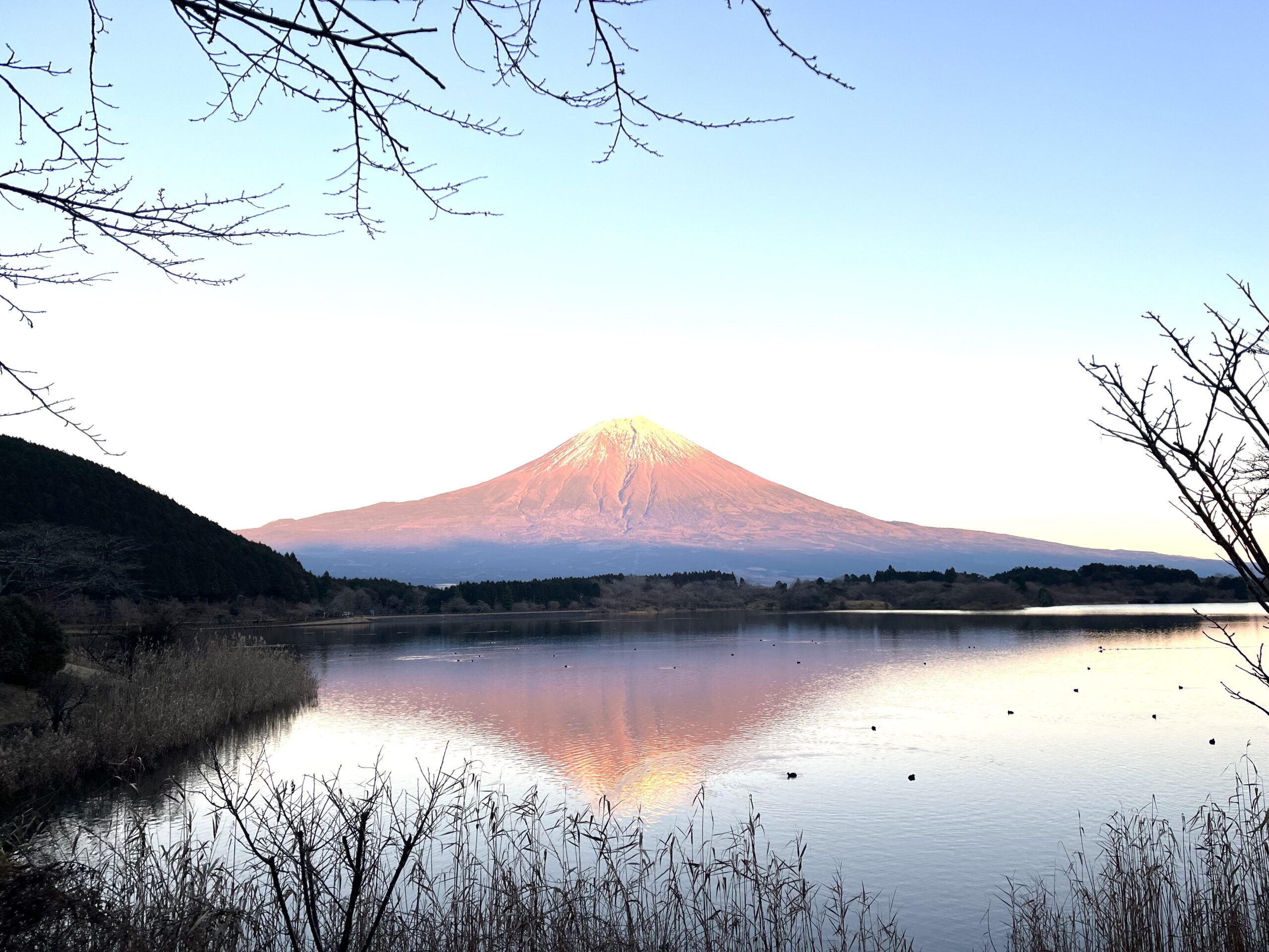 富士山、田貫湖